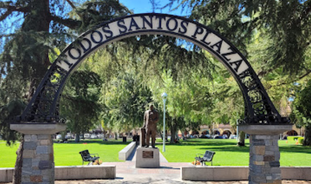 Website Redesign services in Todos Santos Plaza, Concord, California​